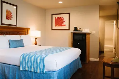 a hotel room with a large bed in a room at Alamo Inn and Suites - Convention Center in Anaheim