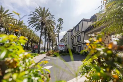 an empty street with palm trees and a stop sign at Alamo Inn and Suites - Convention Center in Anaheim