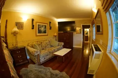 a living room with a couch and a tv at FLEUR DE LAC EUROPERAN INn in Lake Arrowhead