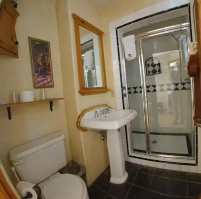 a bathroom with a toilet and a sink and a shower at FLEUR DE LAC EUROPERAN INn in Lake Arrowhead