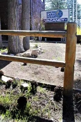 a dog laying on the ground next to a park bench at Snow Lake Lodge in Big Bear Lake