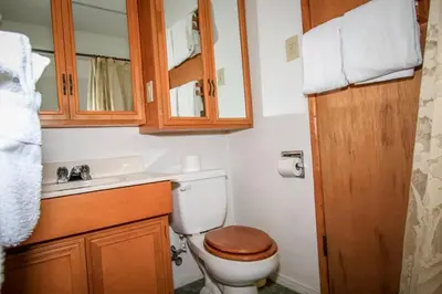 a bathroom with a toilet and a sink and wooden cabinets at Mountain Air Home in Big Bear Lake
