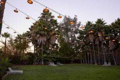 a string of lights in a park with palm trees at The Capri Hotel in Ojai