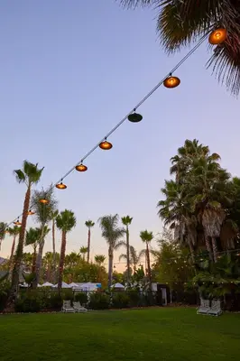 a string of lights hanging in a park with palm trees at The Capri Hotel in Ojai