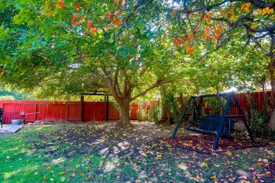 a swing under a tree in a yard at Ojai Rancho Inn in Ojai