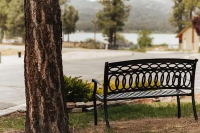 a black park bench next to a tree at Vintage Lakeside Inn in Big Bear Lake