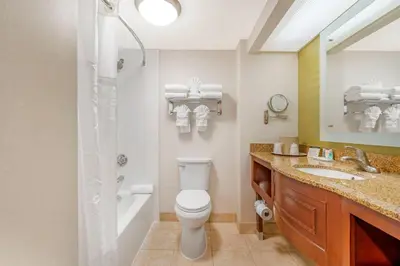 a bathroom with a toilet and a sink and a shower at Comfort Inn Anaheim Resort in Anaheim