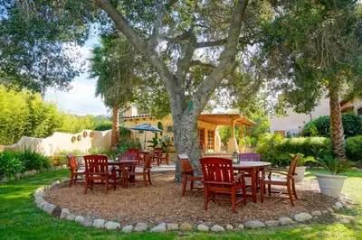 a group of tables and chairs under a tree at Blue Iguana Inn in Ojai