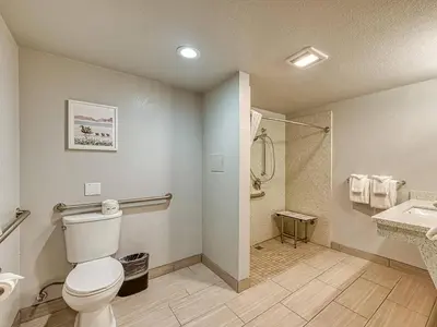 a bathroom with a toilet and a shower and a sink at Amanzi Hotel, an Ascend Collection Hotel in Ventura