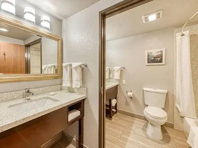 a bathroom with a toilet and a sink and a mirror at Amanzi Hotel, an Ascend Collection Hotel in Ventura