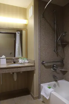 a bathroom with a tub and a sink and a shower at Holiday Inn Express Tehachapi by IHG in Tehachapi