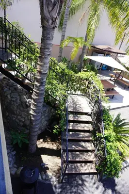 a stairway with a palm tree next to a building at Casa Bella Inn Downtown LA in Los Angeles