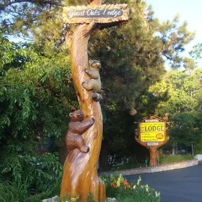 Giant Oaks Lodge