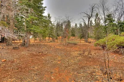 a dirt field with trees in the background at Summit Ski-Inn Ski-Out in Big Bear Lake