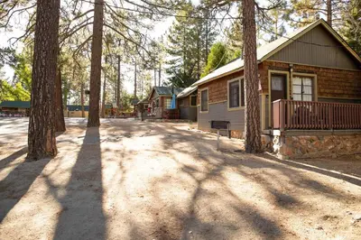 a house with a lot of trees in front of it at Lupine Lakeside Resort Cabin by Big Bear Vacations in Big Bear Lake