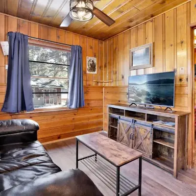 Lupine Lakeside Resort Cabin by Big Bear Vacations
