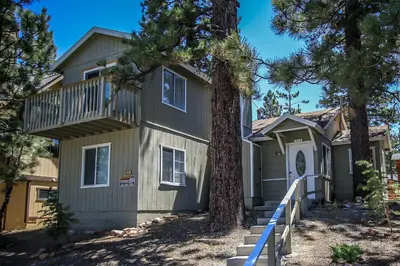 a house with a tree in front of it at Life of Riley-1608 by Big Bear Vacations in Big Bear Lake