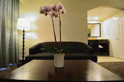 a vase of flowers on a table in a living room at Days Inn by Wyndham Downey in Downey