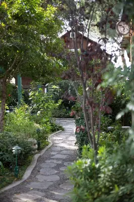 a stone path in a garden with trees and bushes at The Charlie West Hollywood in Los Angeles