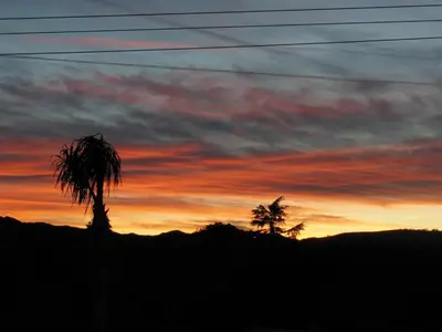 a sunset with a palm tree in the foreground at Oakridge Inn in Oak View