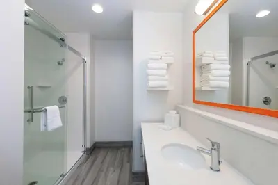 a bathroom with a sink and a shower and a mirror at Hampton Inn & Suites Buena Park in Buena Park