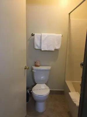 a bathroom with a toilet and a shower and towels at Mountain Inn in Ontario
