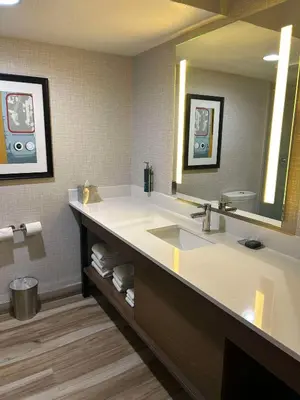 a bathroom with a sink and a large mirror at DoubleTree by Hilton Chatsworth in Chatsworth