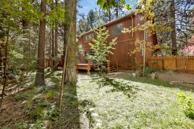 a cabin in the woods with a yard at Dreams of Summit-1120 by Big Bear Vacations in Big Bear Lake