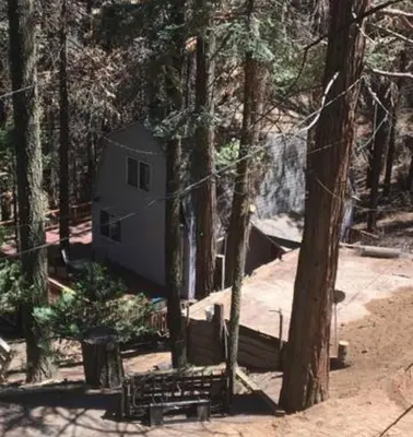 a cabin in the middle of a forest of trees at Sequoia National Forest CabinG in Panorama Heights
