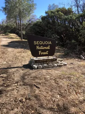 a sign for a natural forest on a dirt road at Sequoia National Forest CabinG in Panorama Heights