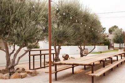 a row of wooden benches in a park with trees at Cuyama Buckhorn in New Cuyama
