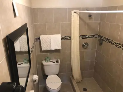 a small bathroom with a toilet and a shower at Mount-N-Lake Motel in Wofford Heights
