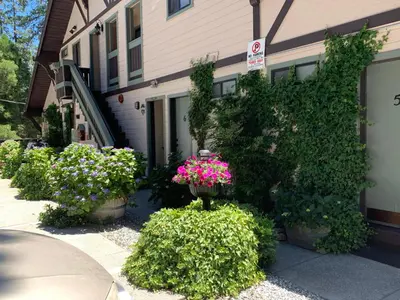a bunch of flowers in pots in front of a building at The North Shore Inn in Crestline