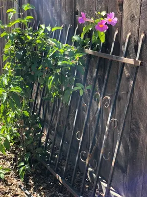 a garden with a fence with a flower pot on it at Casa Del Sol in Carpinteria