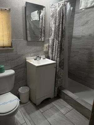 a bathroom with a sink and a toilet and a shower at Apple Valley Motel in Apple Valley