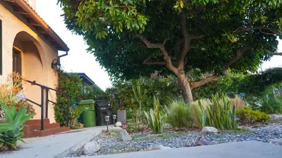 a garden in front of a house with a tree at Cozy private Guest House in Los Angeles