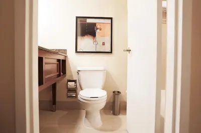 a bathroom with a toilet and a picture on the wall at Ontario Airport Hotel & Conference Center in Ontario