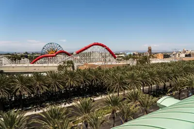 a roller coaster at a theme park with palm trees at The Westin Anaheim Resort in Anaheim
