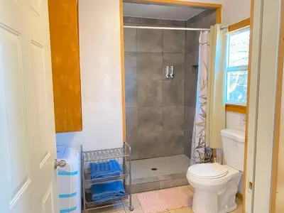 a bathroom with a toilet and a shower at Blue Horizon Lodge in Big Bear Lake