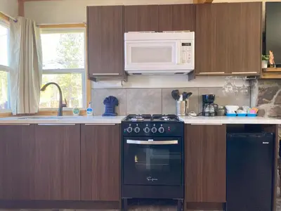 a kitchen with a black stove and a microwave at Blue Horizon Lodge in Big Bear Lake