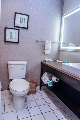 a bathroom with a toilet and a sink and a mirror at Quality Inn & Suites Camarillo-Oxnard in Camarillo