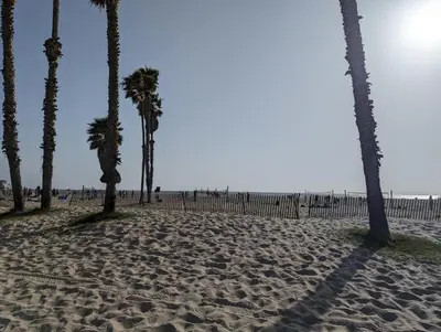a row of palm trees on a sandy beach at 2Bedroom with Den and 2BA 4 Blocks to Santa Monica Beach in Los Angeles