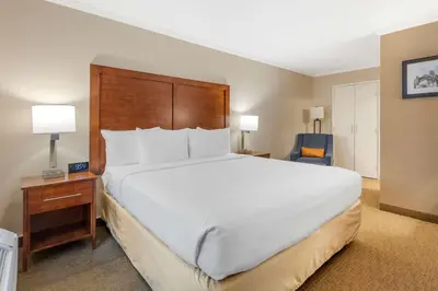a large white bed in a hotel room at Comfort Inn Santa Monica - West Los Angeles in Los Angeles