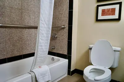 a bathroom with a toilet and a bathtub with a shower curtain at Comfort Suites Victorville-Hesperia in Victorville