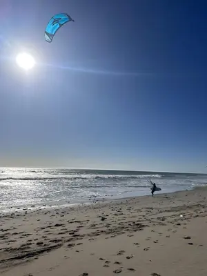 a person flying a kite on the beach at Malibu Beach Home Private Sandy Beach and Surf in Malibu
