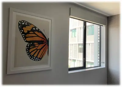 a monarch butterfly in a picture next to a window at Hotel Mariposa in Los Angeles