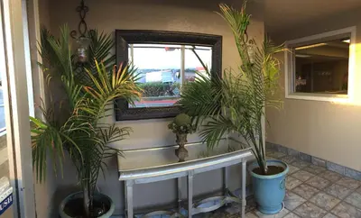 a bathroom with two potted plants and a mirror at Hilltop Inn & Suites in Victorville