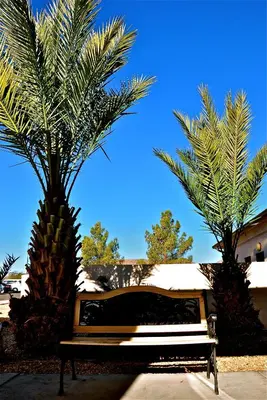 two palm trees and a bench in front of a building at Landmark Inn Fort Irwin in Fort Irwin