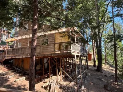 a tree house in the middle of the woods at Sequoia National Forest CabinK in Panorama Heights