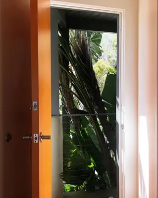 an open door with a plant behind it at The M Malibu in Malibu